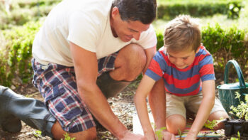 Six Vegetables You Can Grow Right in Your Kitchen
